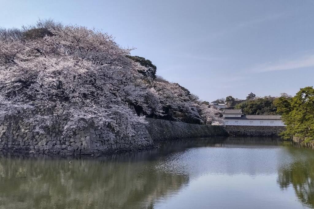 Villa Hikone Castle 외부 사진